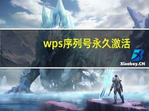 wps序列号永久激活（wps序列号）