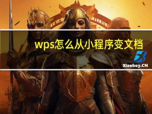 wps怎么从小程序变文档