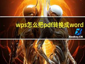 wps怎么把pdf转换成word（把pdf转换成word）