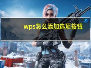 wps怎么添加选项按钮