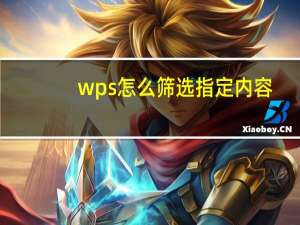 wps怎么筛选指定内容