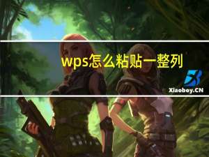 wps怎么粘贴一整列