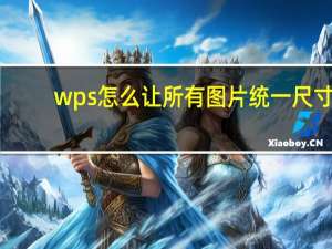 wps怎么让所有图片统一尺寸