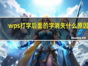 wps打字后面的字消失什么原因呀（wps打字后面的字消失）