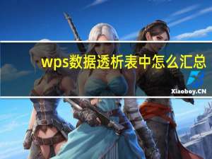 wps数据透析表中怎么汇总（wps数据透析表的使用）