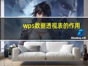 wps数据透视表的作用（透视表的作用）