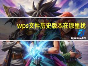 wps文件历史版本在哪里找（此文件是由较高版本的microsoft word）
