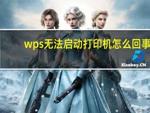 wps无法启动打印机怎么回事（wps office无法启动打印作业请检查）