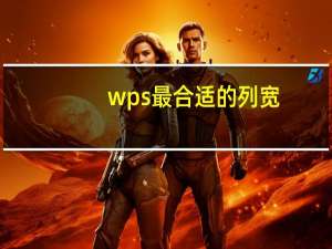 wps最合适的列宽