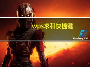 wps求和快捷键（wps求和）