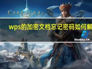 wps的加密文档忘记密码如何解决（wps加密文档忘记密码怎么办）