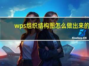 wps组织结构图怎么做出来的（wps组织结构图怎么做）