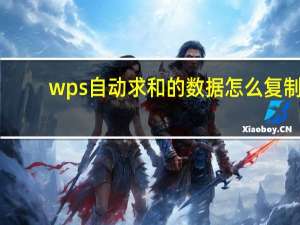 wps自动求和的数据怎么复制（wps自动求和）