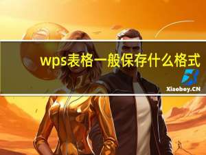 wps表格一般保存什么格式