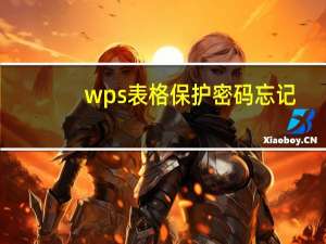 wps表格保护密码忘记（wps表格密码忘记了怎样破解）