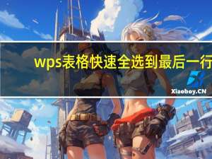 wps表格快速全选到最后一行