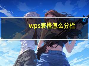wps表格怎么分栏