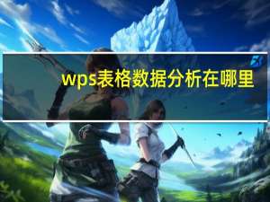 wps表格数据分析在哪里（wps表格数据分类统计）