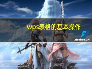 wps表格的基本操作(新手入门教程)（wps表格的基本操作）