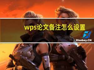 wps论文备注怎么设置