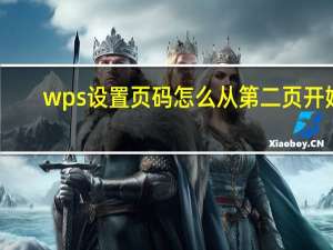 wps设置页码怎么从第二页开始（页码怎么从第二页开始）