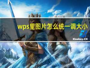 wps里图片怎么统一调大小