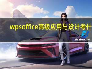 wps office高级应用与设计考什么