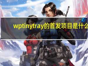 wptinytray的首发项目是什么？