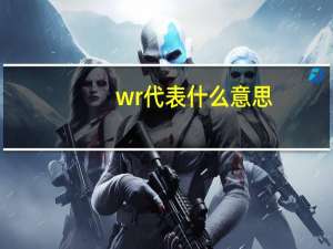 wr代表什么意思