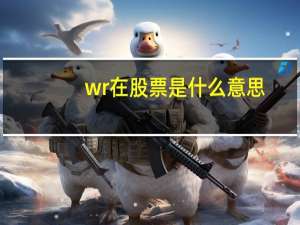 wr在股票是什么意思