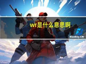 wr是什么意思啊（wr1和wr2是什么意思）