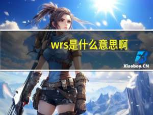 wrs是什么意思啊（wrs是什么意思）