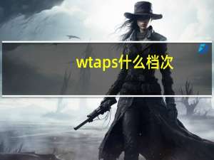 wtaps什么档次