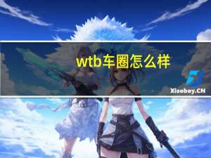 wtb车圈怎么样