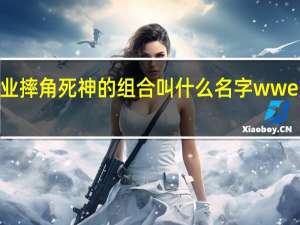wwe美国职业摔角死神的组合叫什么名字 wwe美国职业摔角资讯