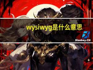 wysiwyg是什么意思