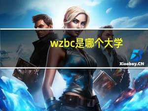 wzbc是哪个大学