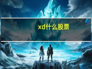 xd什么股票