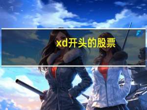 xd开头的股票