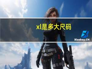 xl是多大尺码