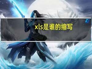 xls是谁的缩写