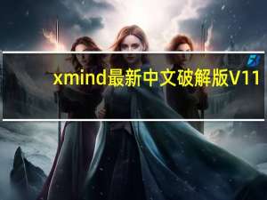 xmind最新中文破解版 V11.1.1.51503 免费激活码版（xmind最新中文破解版 V11.1.1.51503 免费激活码版功能简介）