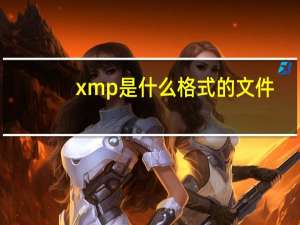 xmp是什么格式的文件（xmp）