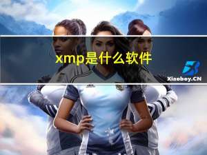 xmp是什么软件（xmp是什么）