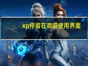 xp停留在欢迎使用界面（xp停止服务）