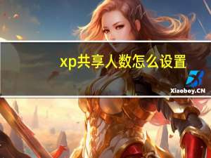 xp共享人数怎么设置（xp共享）