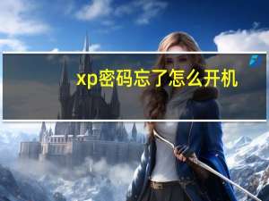 xp密码忘了怎么开机（xp密码）