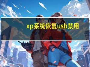 xp系统恢复usb禁用（xp系统恢复）