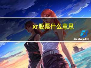 xr股票什么意思