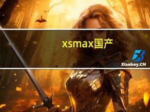 xsmax国产（Xsmax）